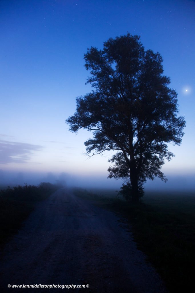 Venus rising at dawn